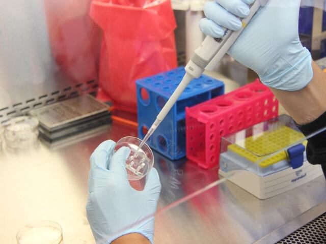 Ex Vivo Vs In Vitro: How They Differ And When To Use Each (Practical Guide 2026)